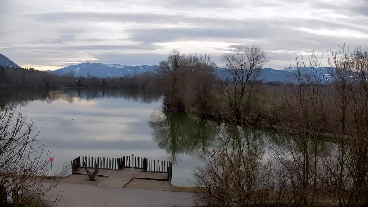 Webcam Ribnik Vrbje – Žalec