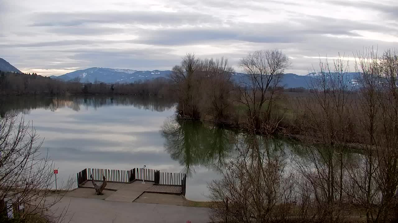 Webcam Ribnik Vrbje – Žalec