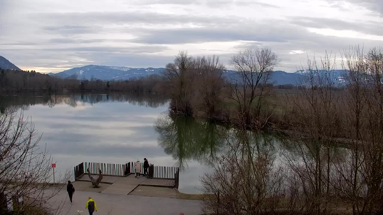 Webcam Ribnik Vrbje – Žalec