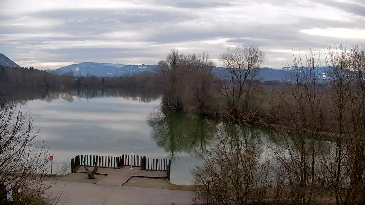 Webcam Ribnik Vrbje – Žalec