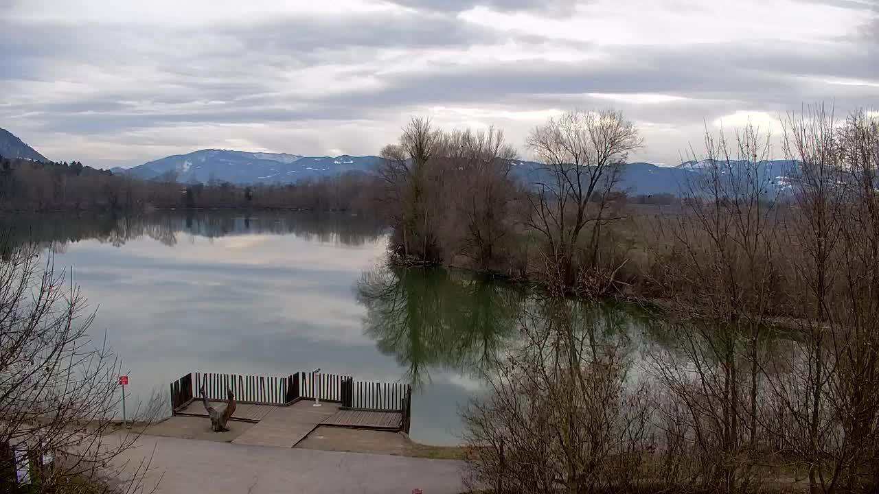 Webcam Ribnik Vrbje – Žalec