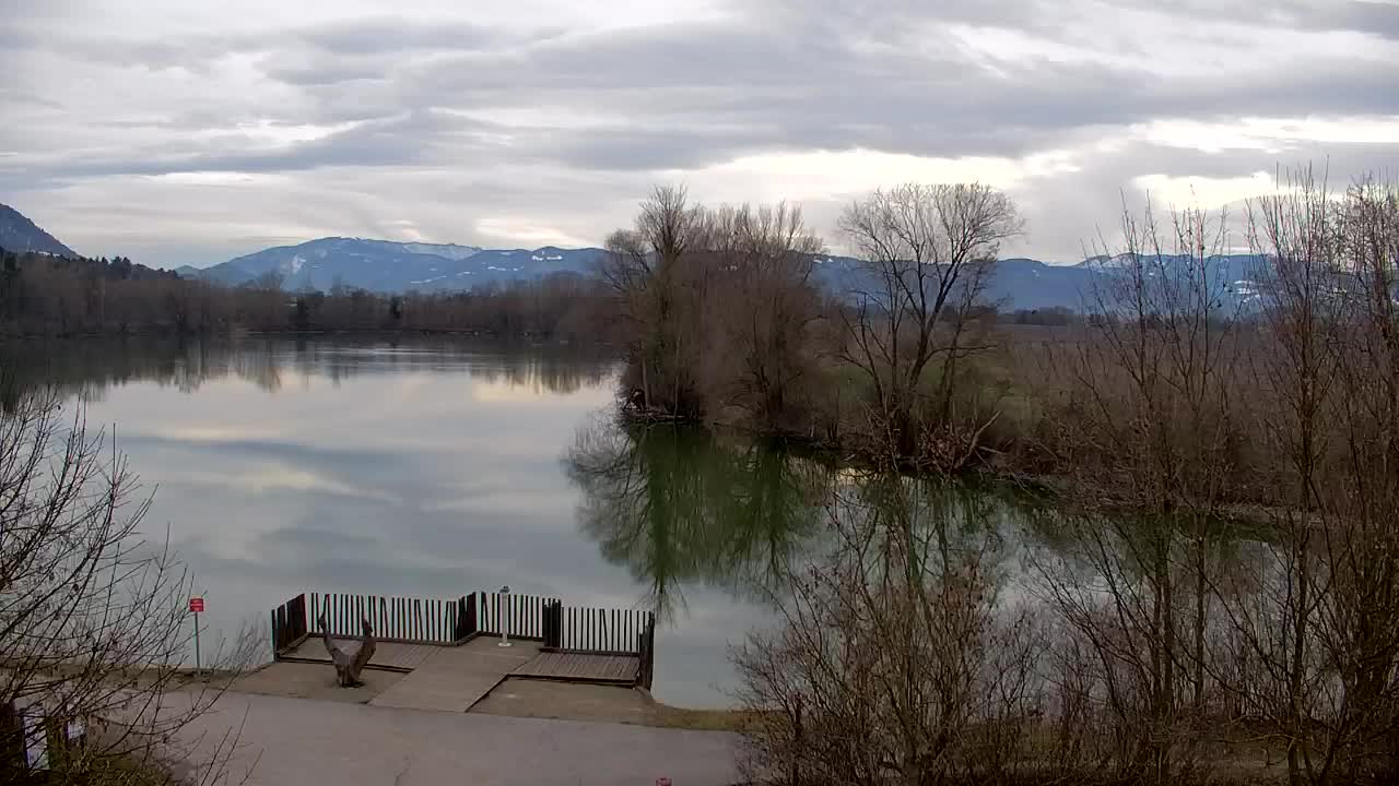 Web kamera Ribnik Vrbje – Žalec