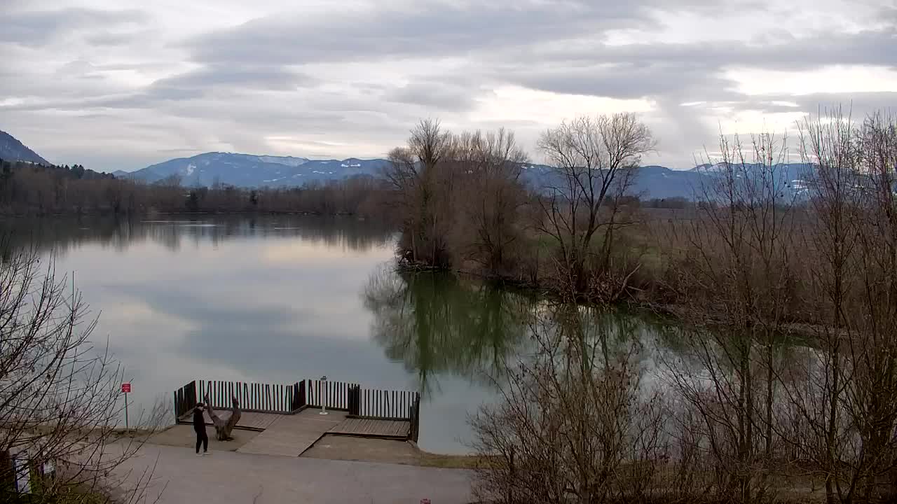 Web kamera Ribnik Vrbje – Žalec