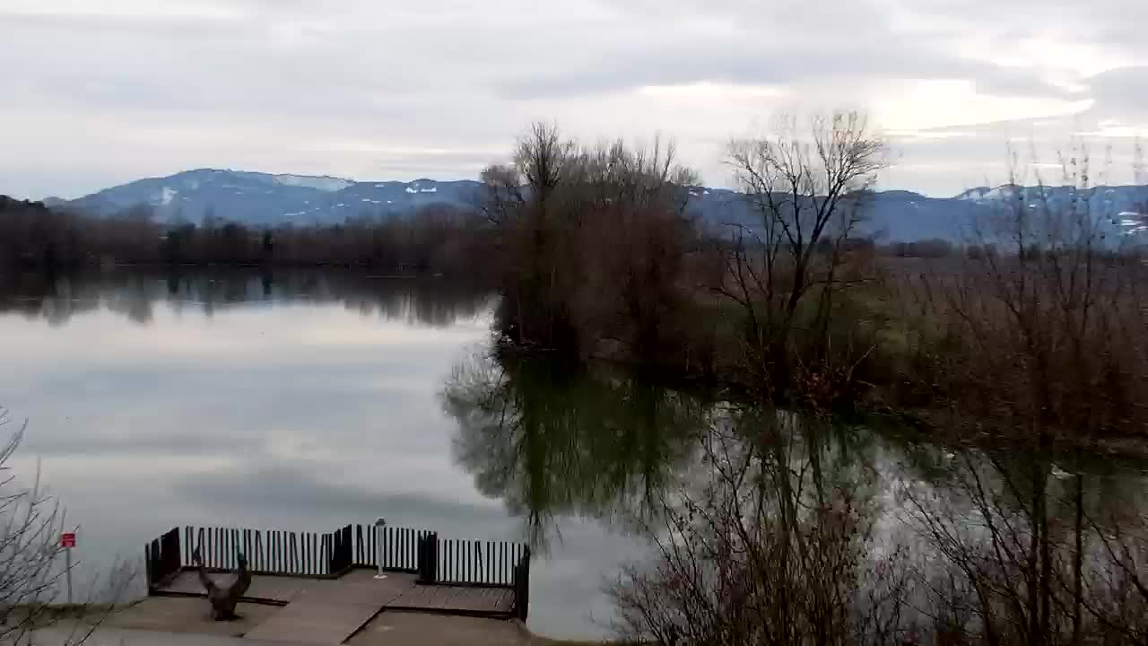 Web kamera Ribnik Vrbje – Žalec