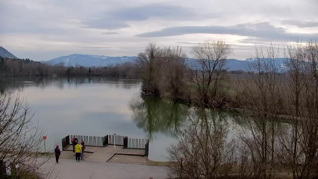 Web kamera Ribnik Vrbje – Žalec