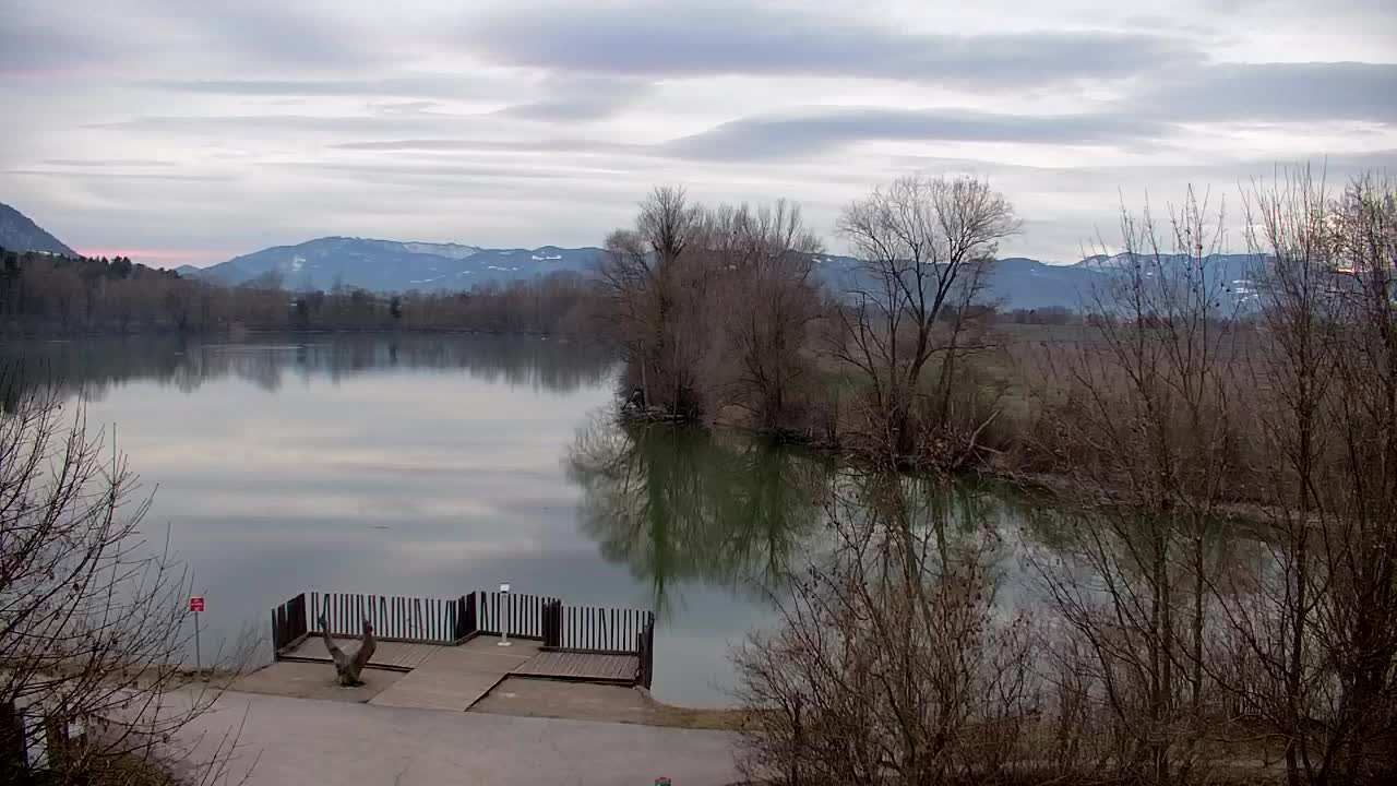 Webcam Ribnik Vrbje – Žalec