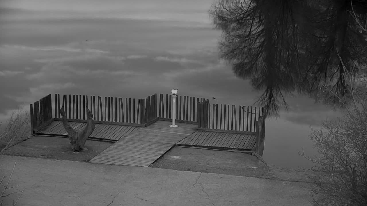 Webcam Ribnik Vrbje – Žalec