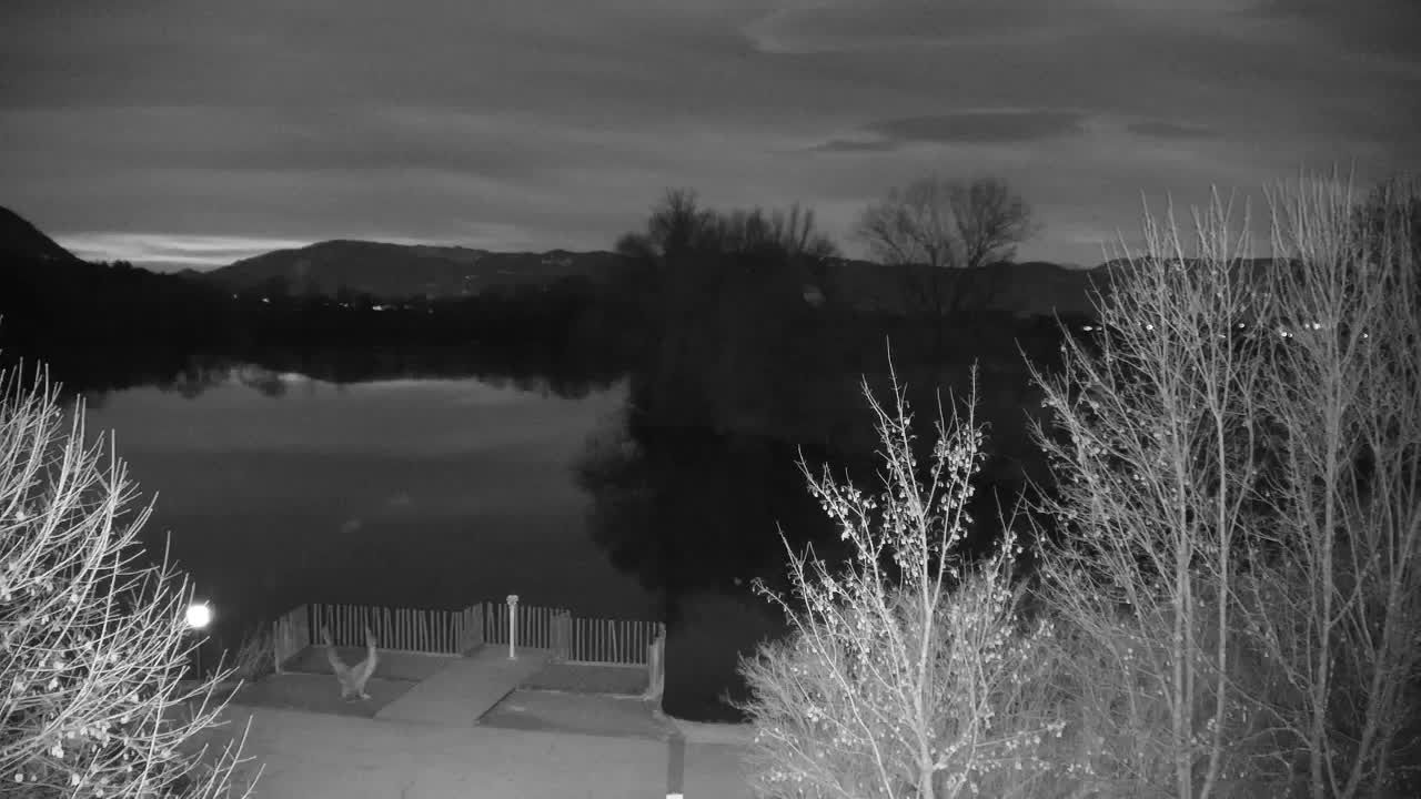 Webcam Ribnik Vrbje – Žalec