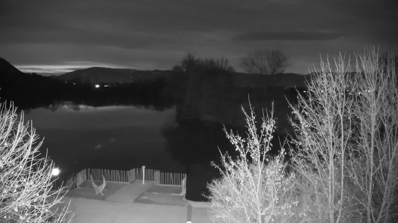 Webcam Ribnik Vrbje – Žalec