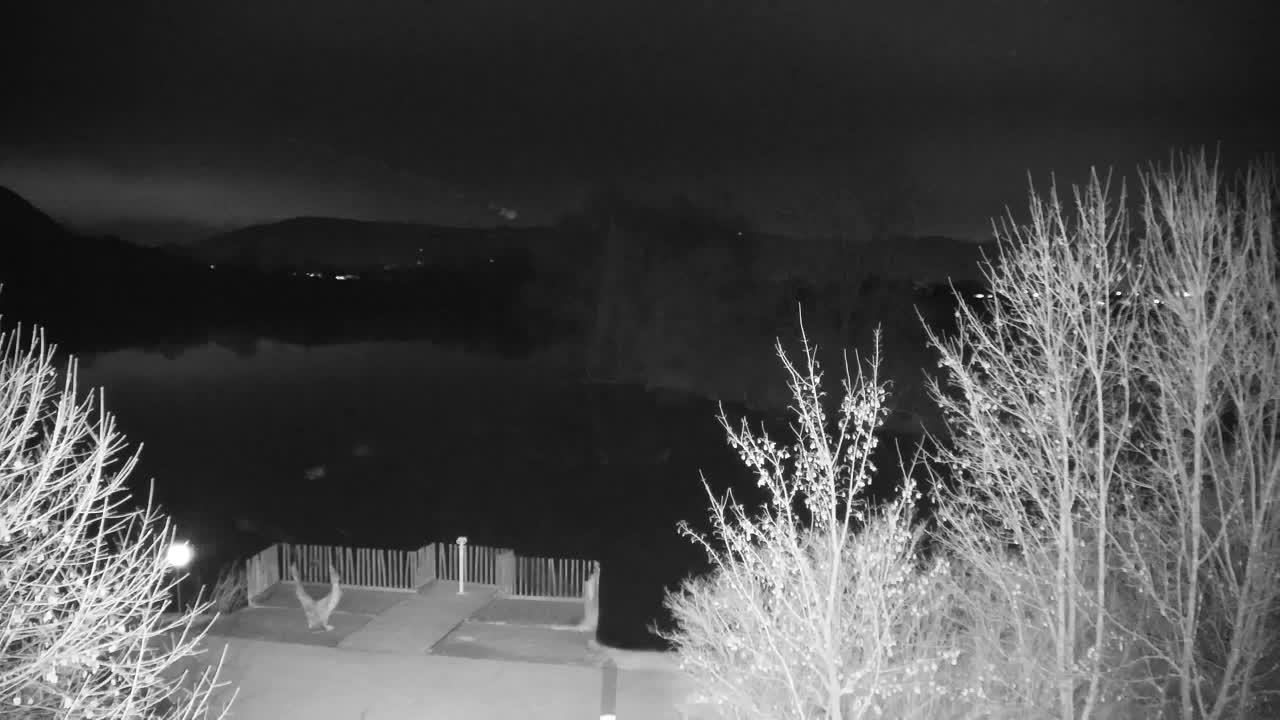 Webcam Ribnik Vrbje – Žalec