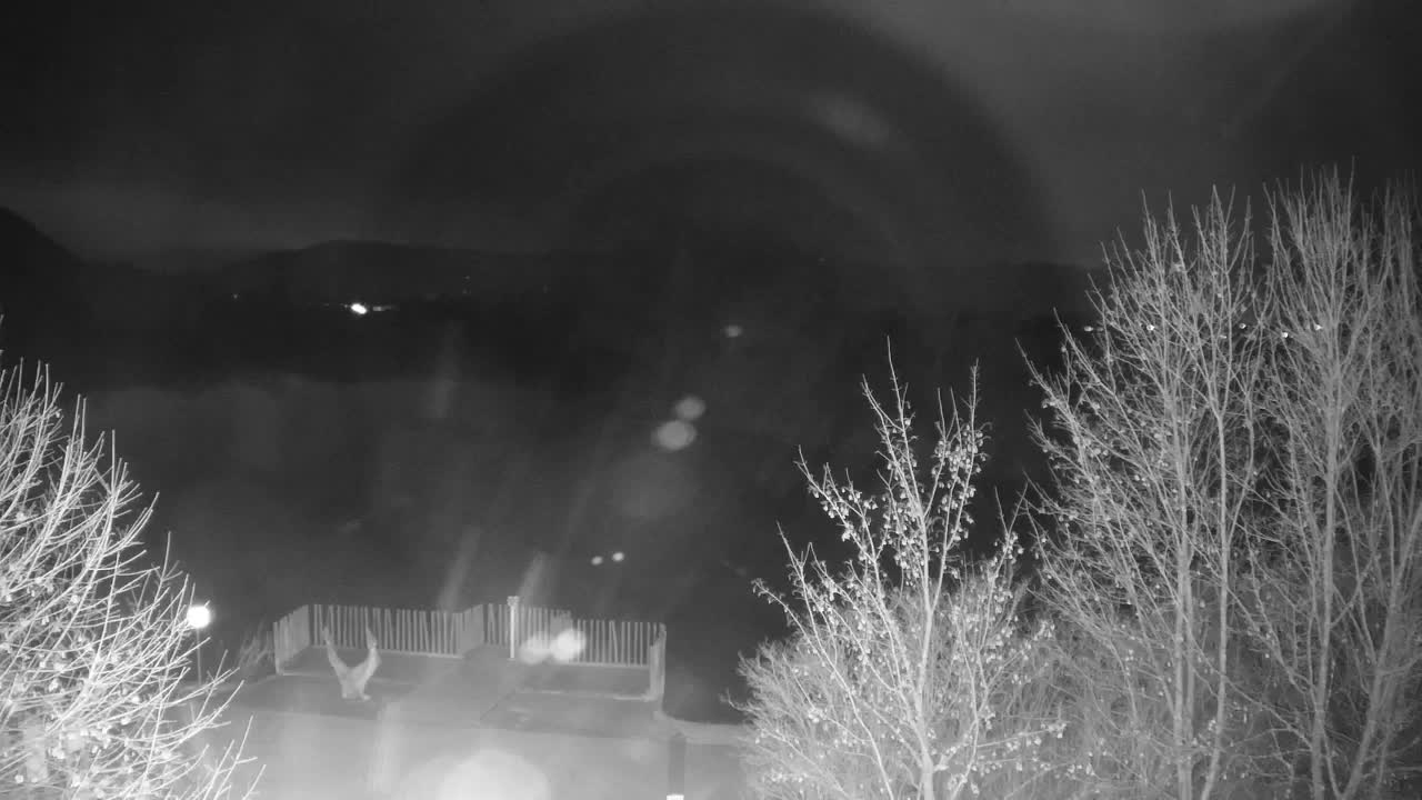 Web kamera Ribnik Vrbje – Žalec