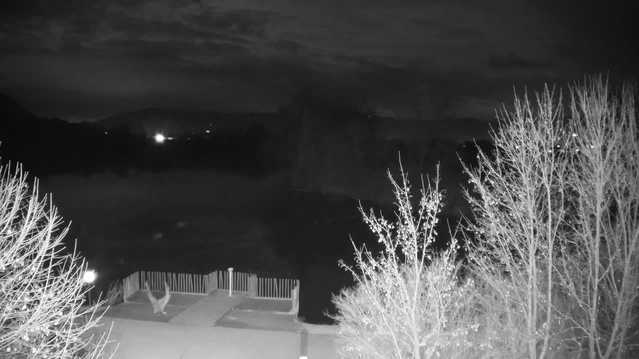 Web kamera Ribnik Vrbje – Žalec