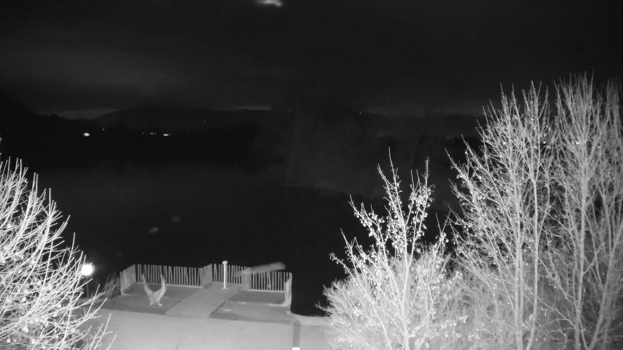 Spletna kamera Ribnik Vrbje – Žalec