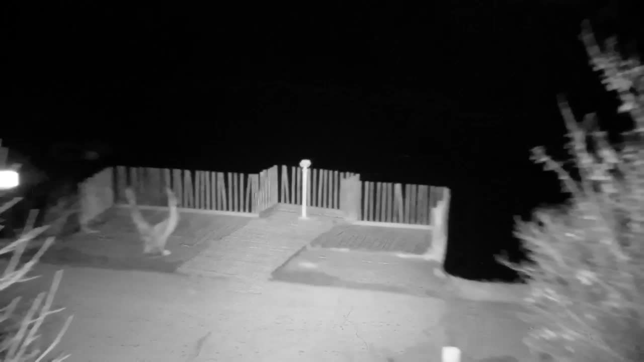 Webcam Ribnik Vrbje – Žalec