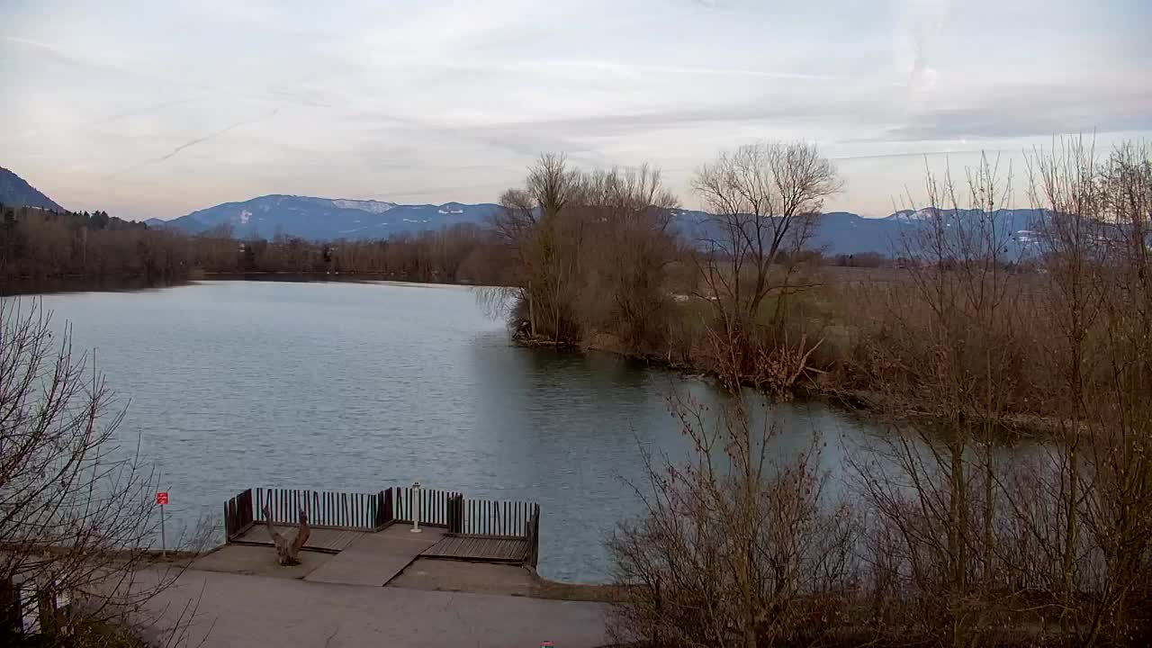 Spletna kamera Ribnik Vrbje – Žalec