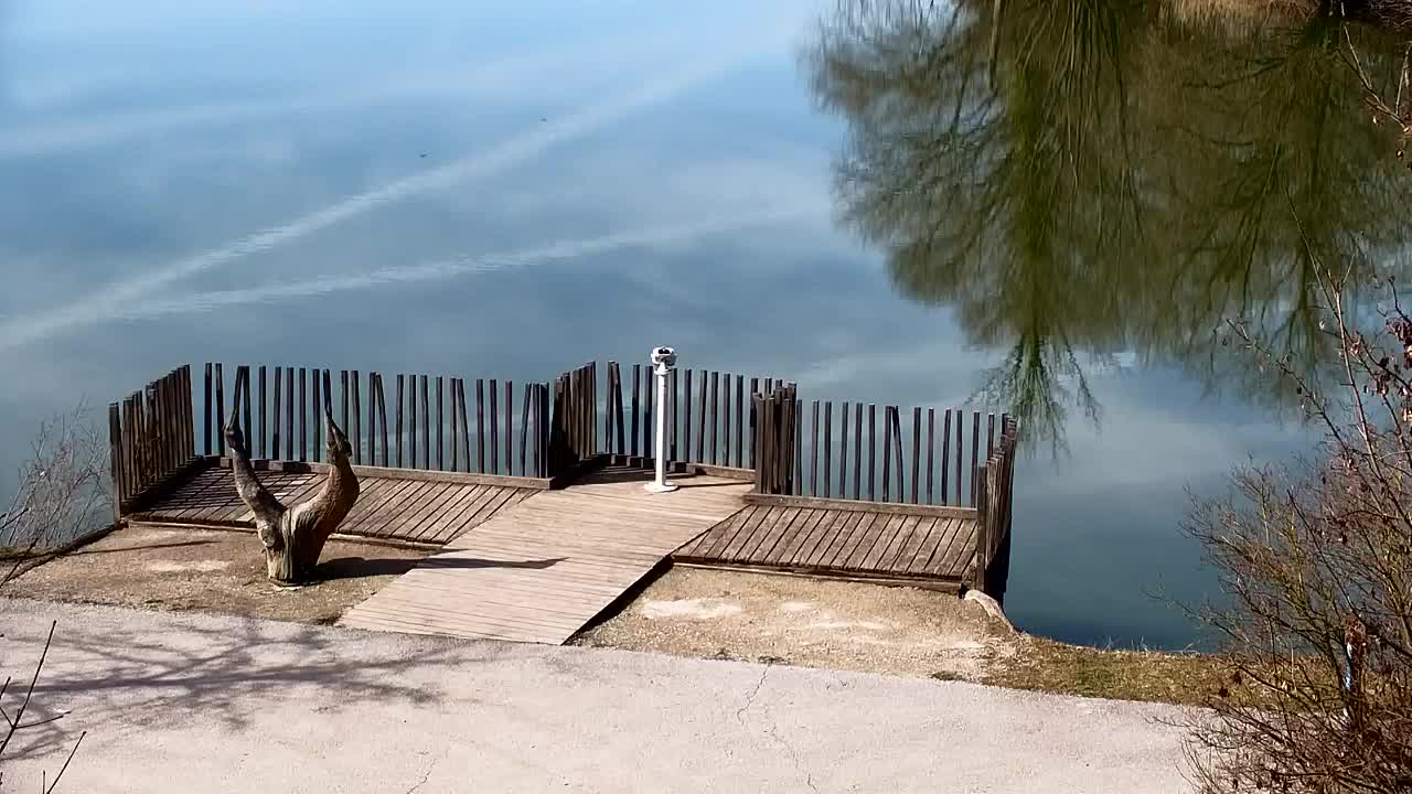 Webcam Ribnik Vrbje – Žalec