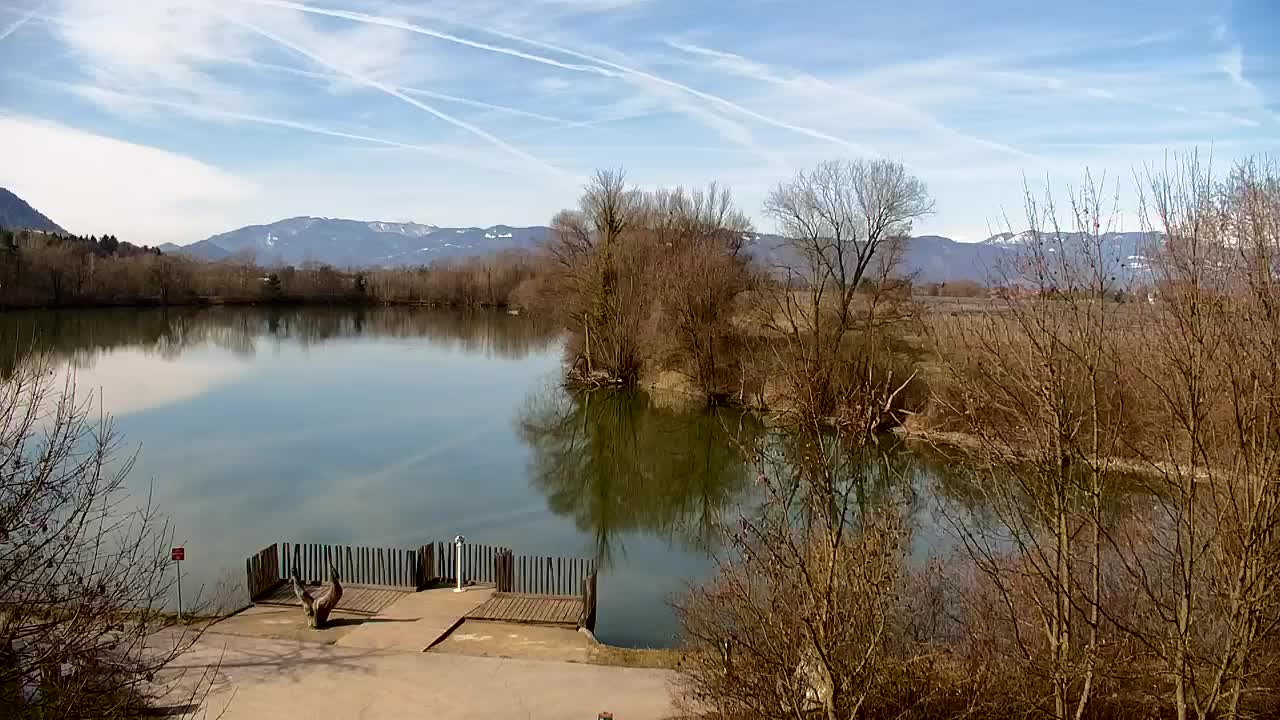 Webcam Ribnik Vrbje – Žalec