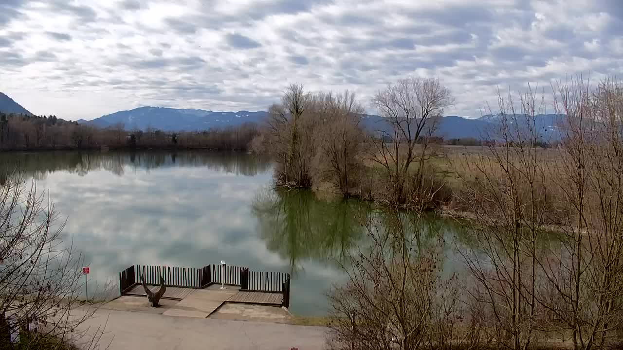 Webcam Ribnik Vrbje – Žalec