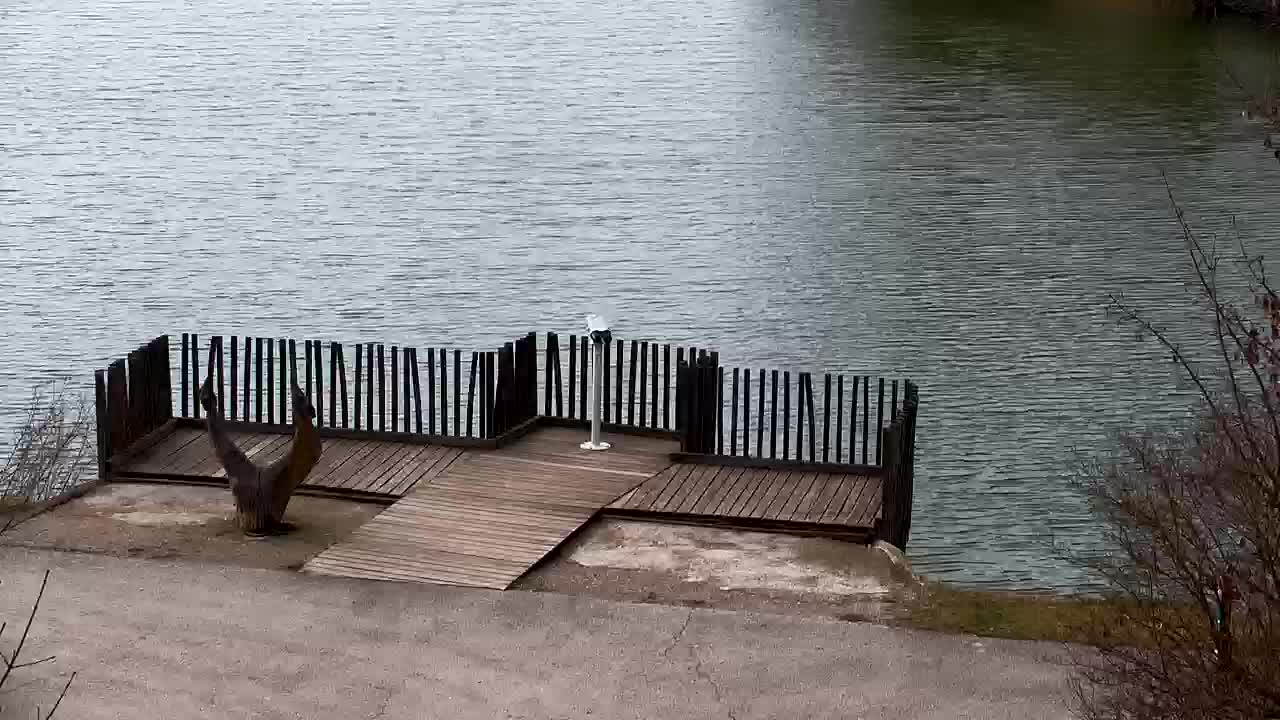 Webcam Ribnik Vrbje – Žalec