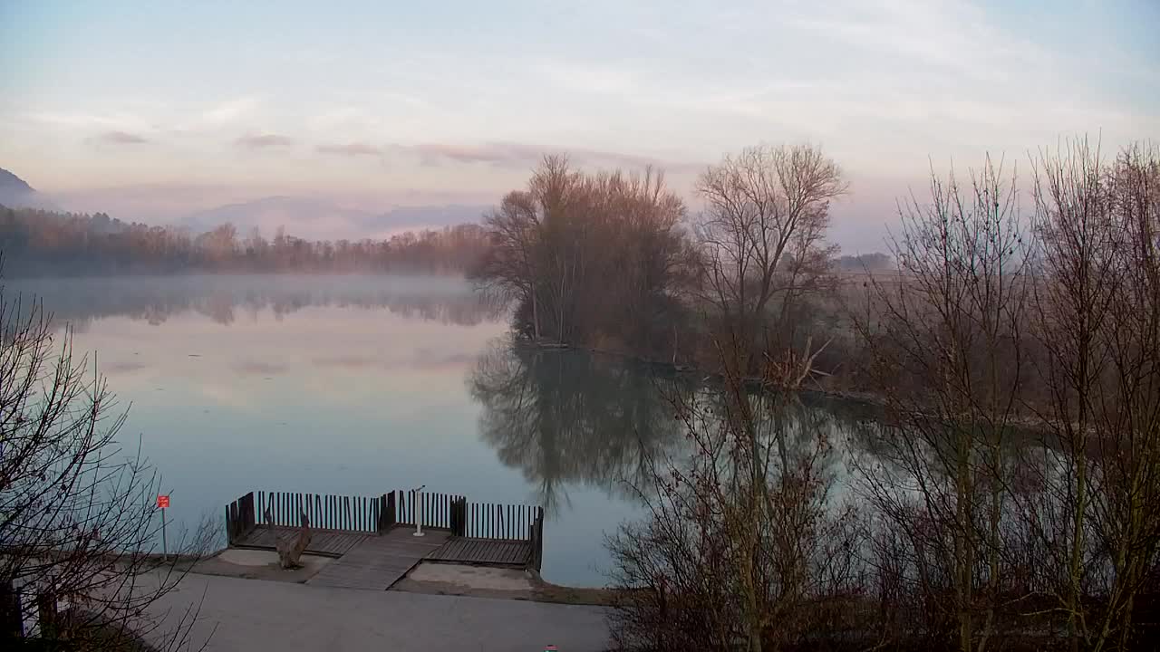 Spletna kamera Ribnik Vrbje – Žalec