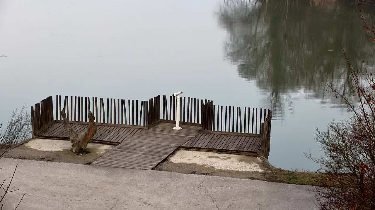 Webcam Ribnik Vrbje – Žalec