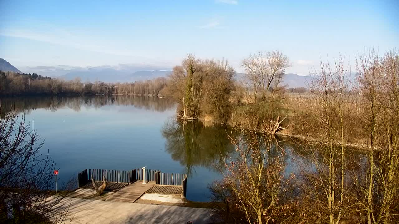 Webcam Ribnik Vrbje – Žalec