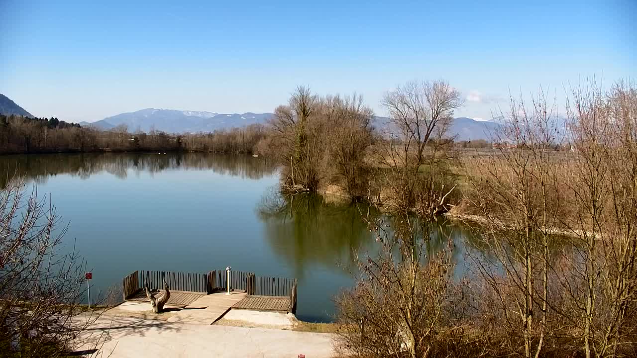 Webcam Ribnik Vrbje – Žalec