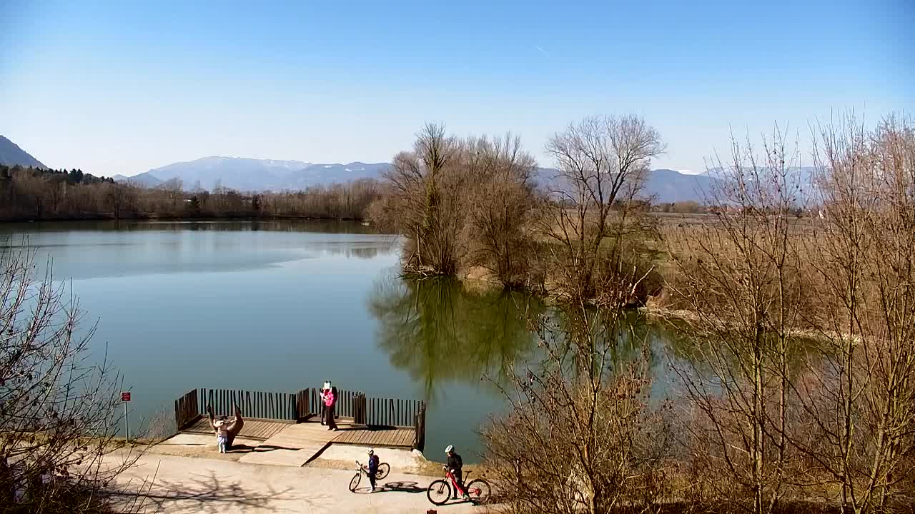 Webcam Ribnik Vrbje – Žalec