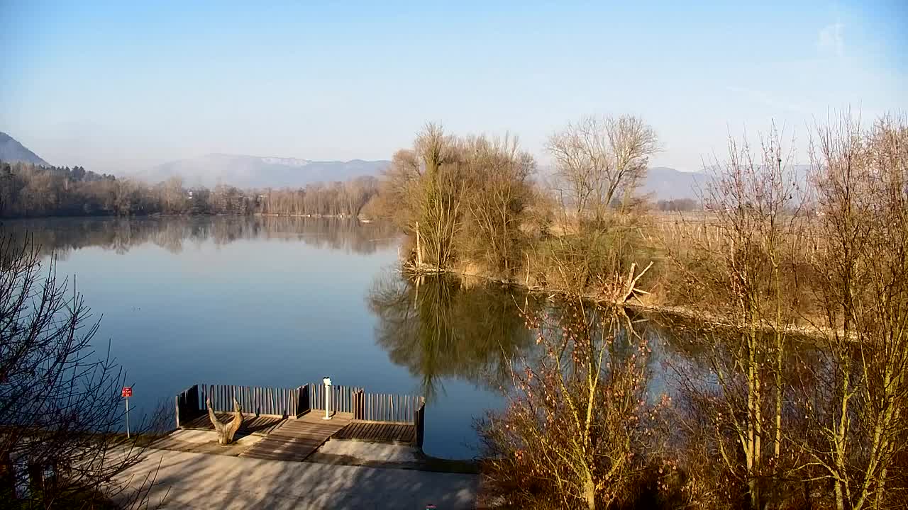 Webcam Ribnik Vrbje – Žalec