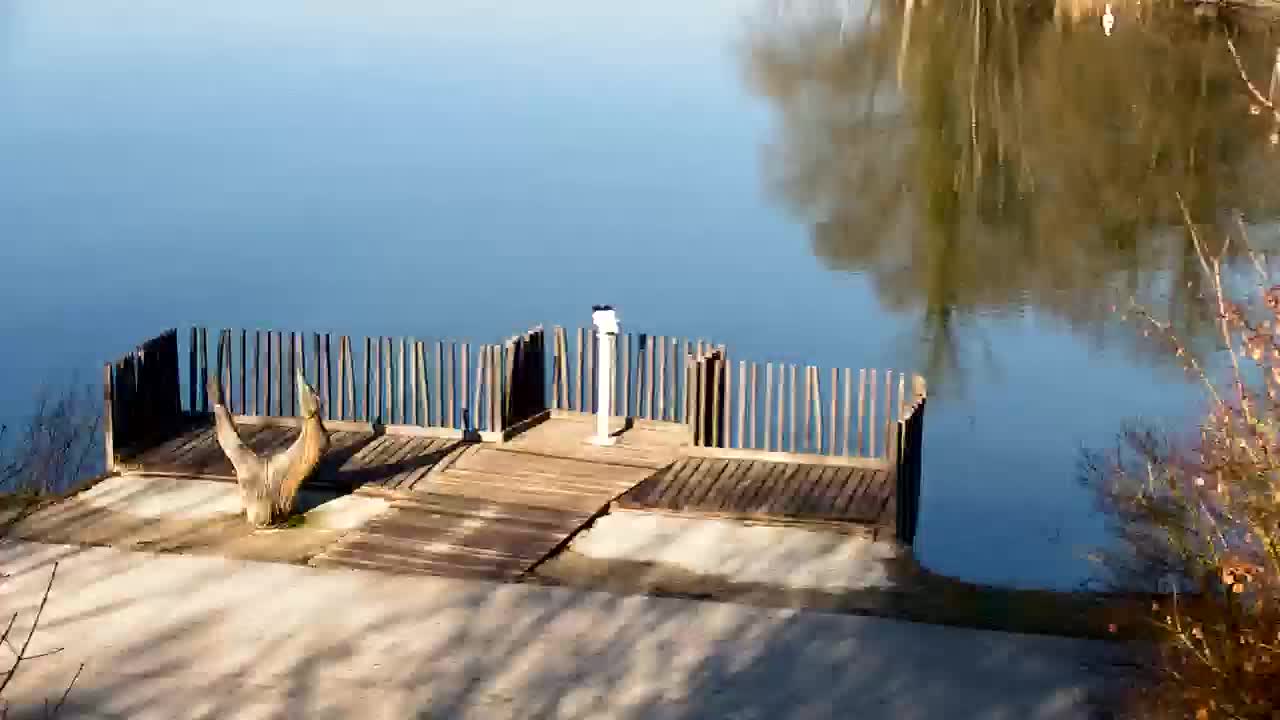 Webcam Ribnik Vrbje – Žalec