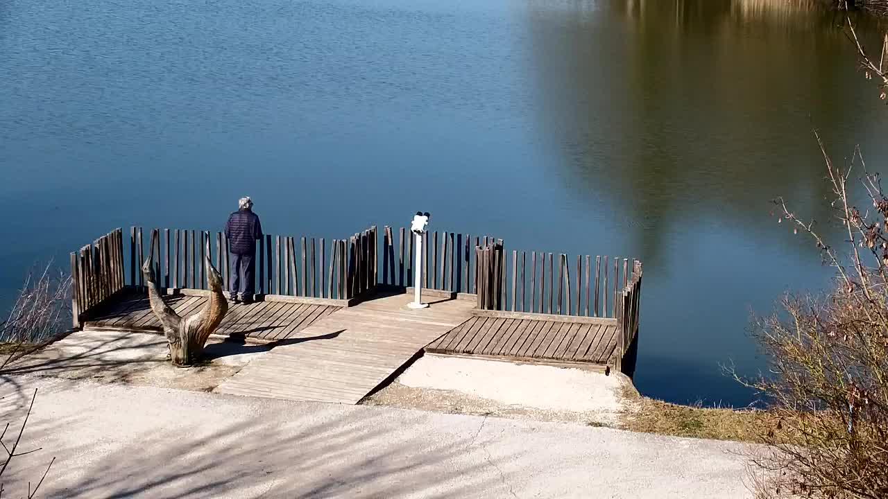 Webcam Ribnik Vrbje – Žalec