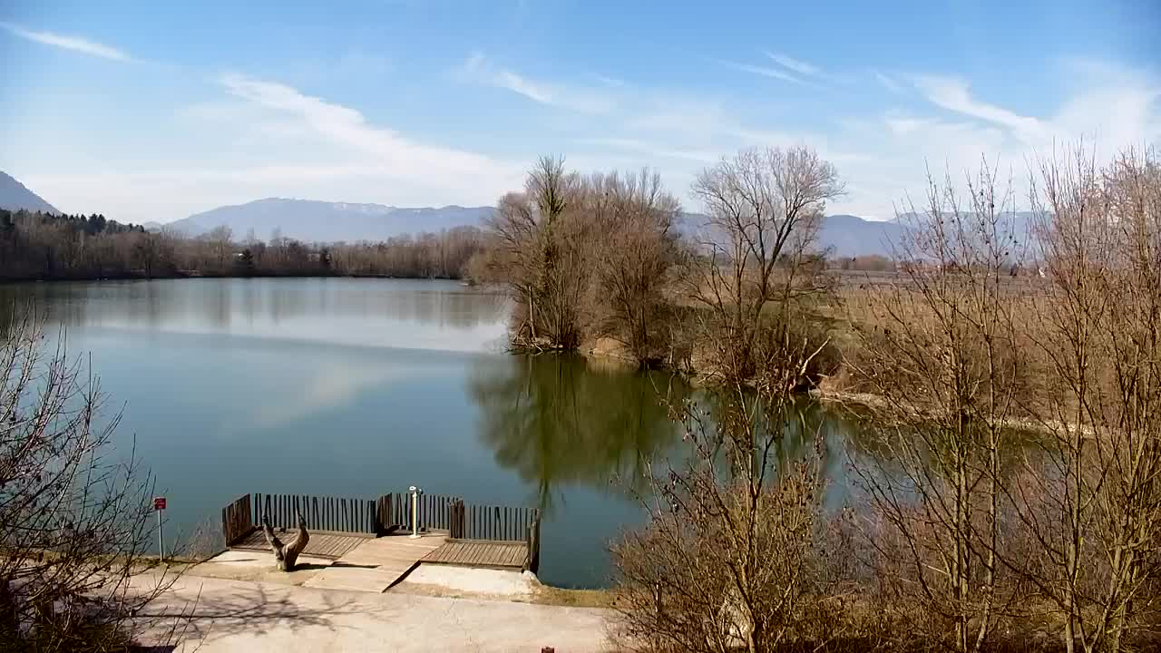 Webcam Ribnik Vrbje – Žalec