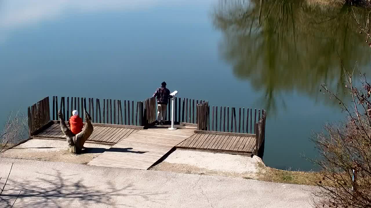 Web kamera Ribnik Vrbje – Žalec