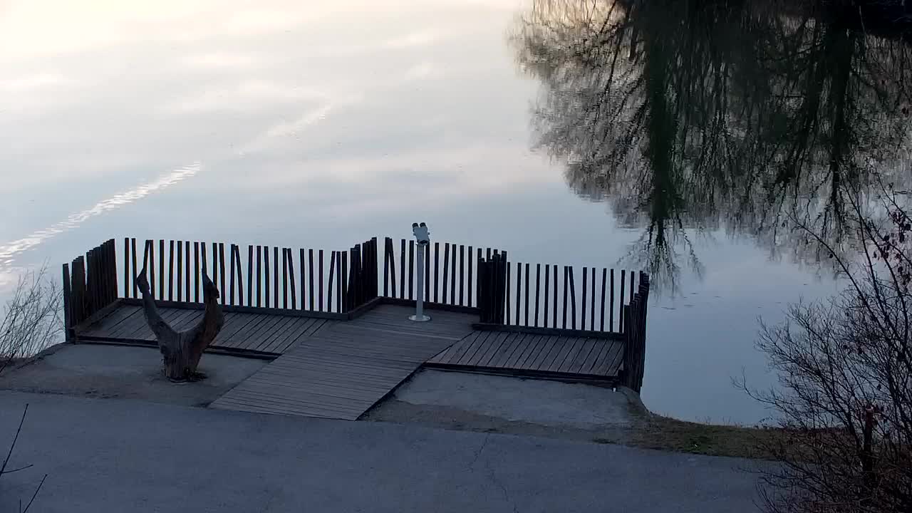 Spletna kamera Ribnik Vrbje – Žalec