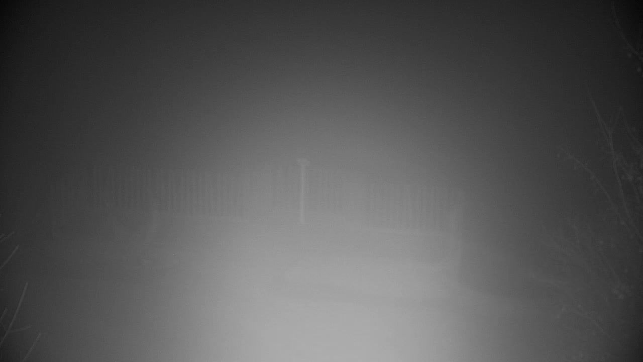 Spletna kamera Ribnik Vrbje – Žalec