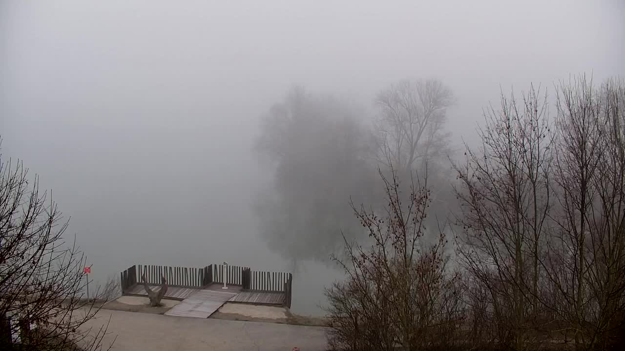 Webcam Ribnik Vrbje – Žalec
