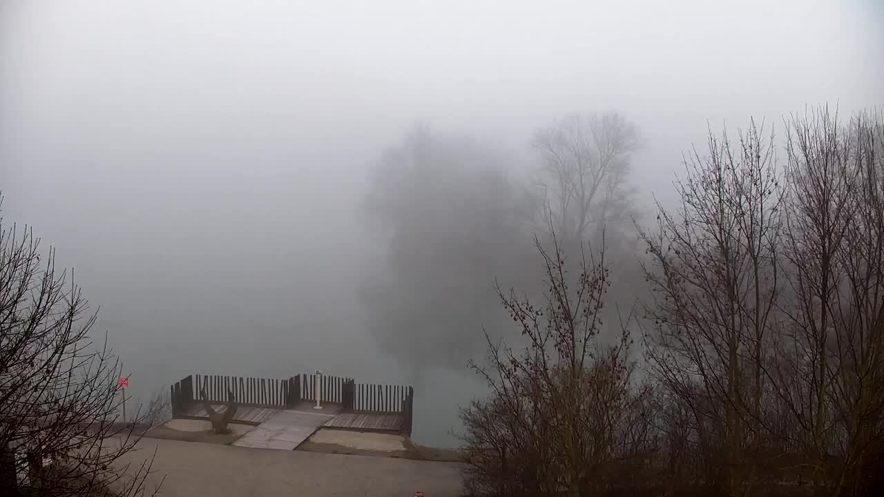 Spletna kamera Ribnik Vrbje – Žalec