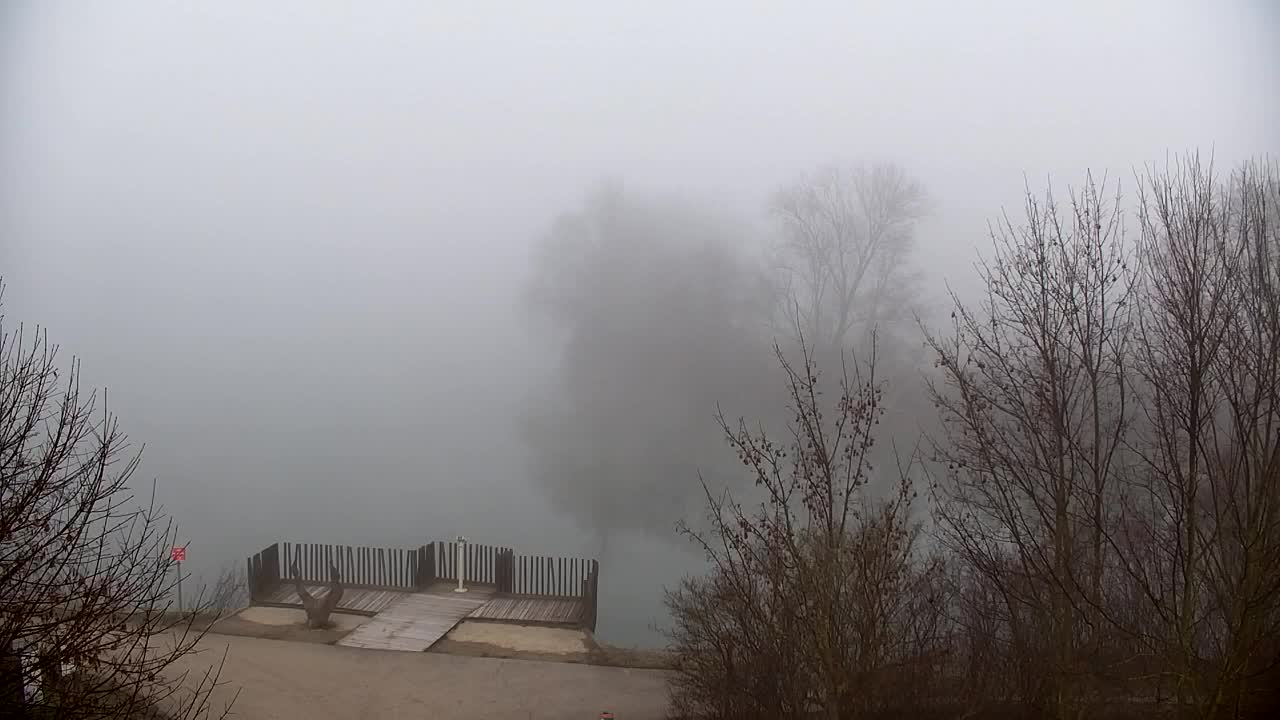 Webcam Ribnik Vrbje – Žalec