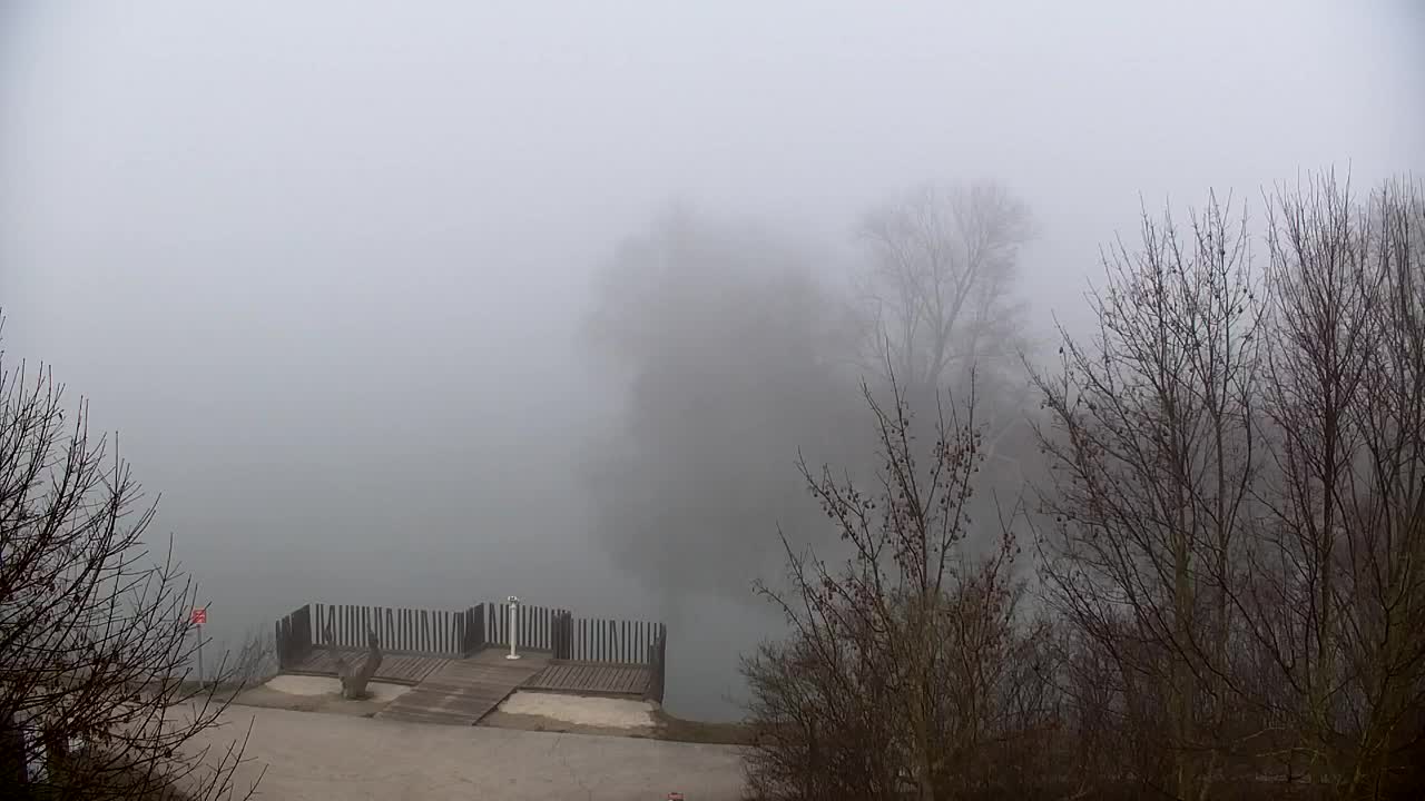 Spletna kamera Ribnik Vrbje – Žalec