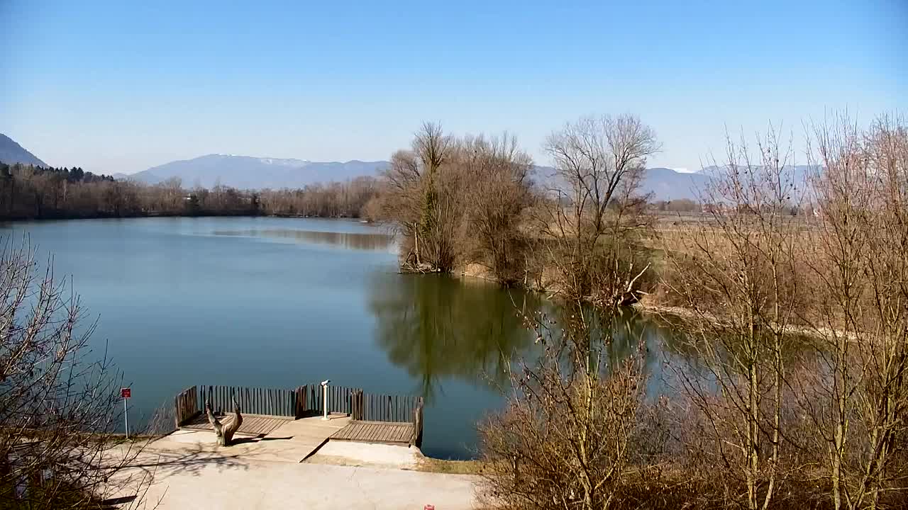 Webcam Ribnik Vrbje – Žalec