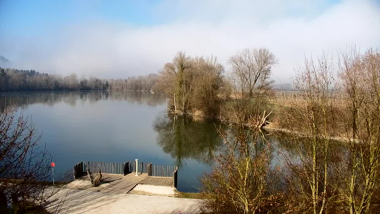 Webcam Ribnik Vrbje – Žalec