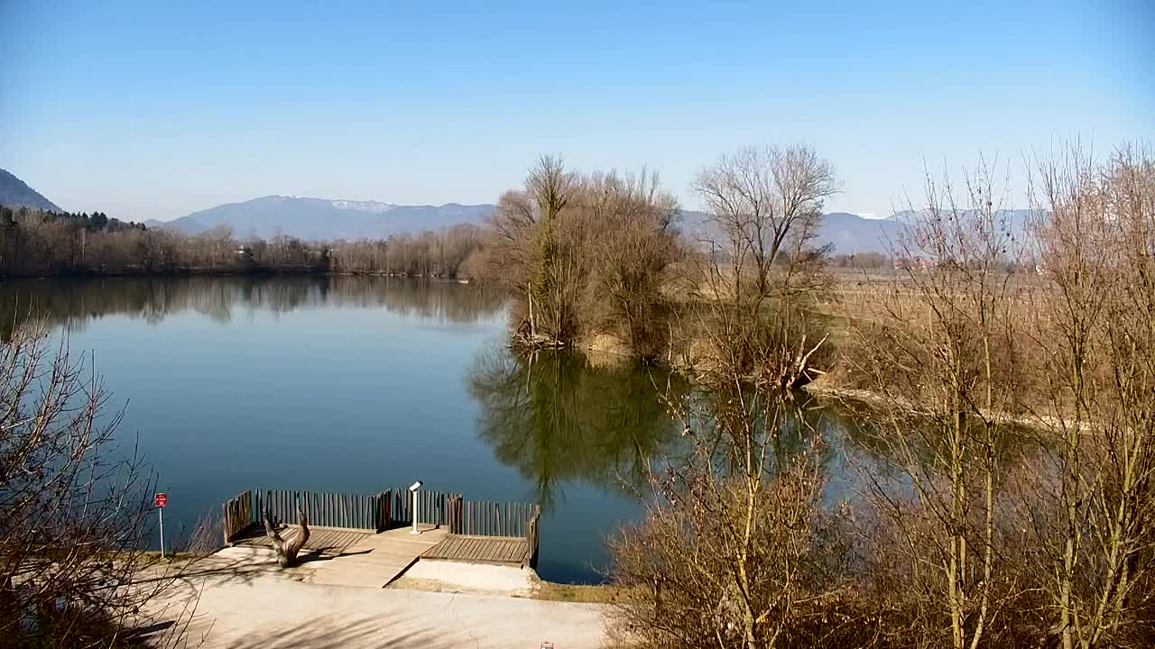 Spletna kamera Ribnik Vrbje – Žalec