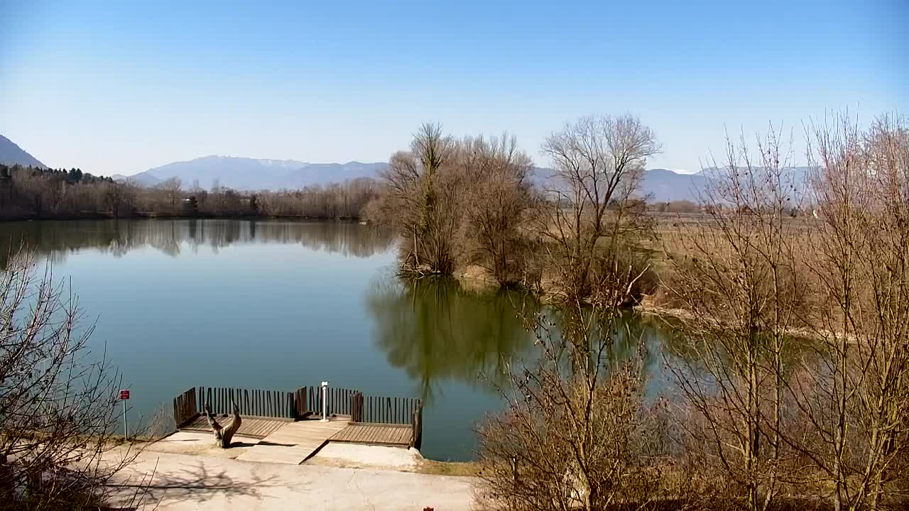 Spletna kamera Ribnik Vrbje – Žalec