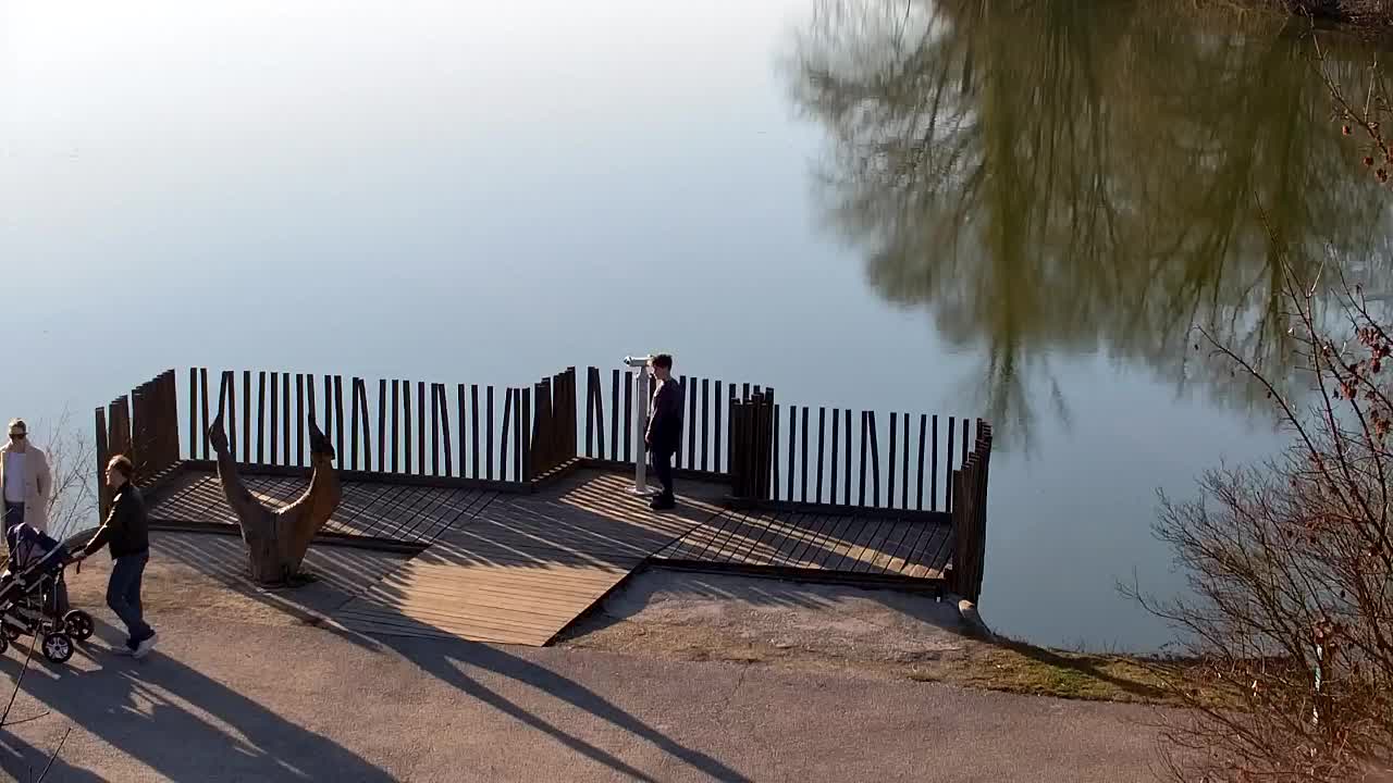 Webcam Ribnik Vrbje – Žalec