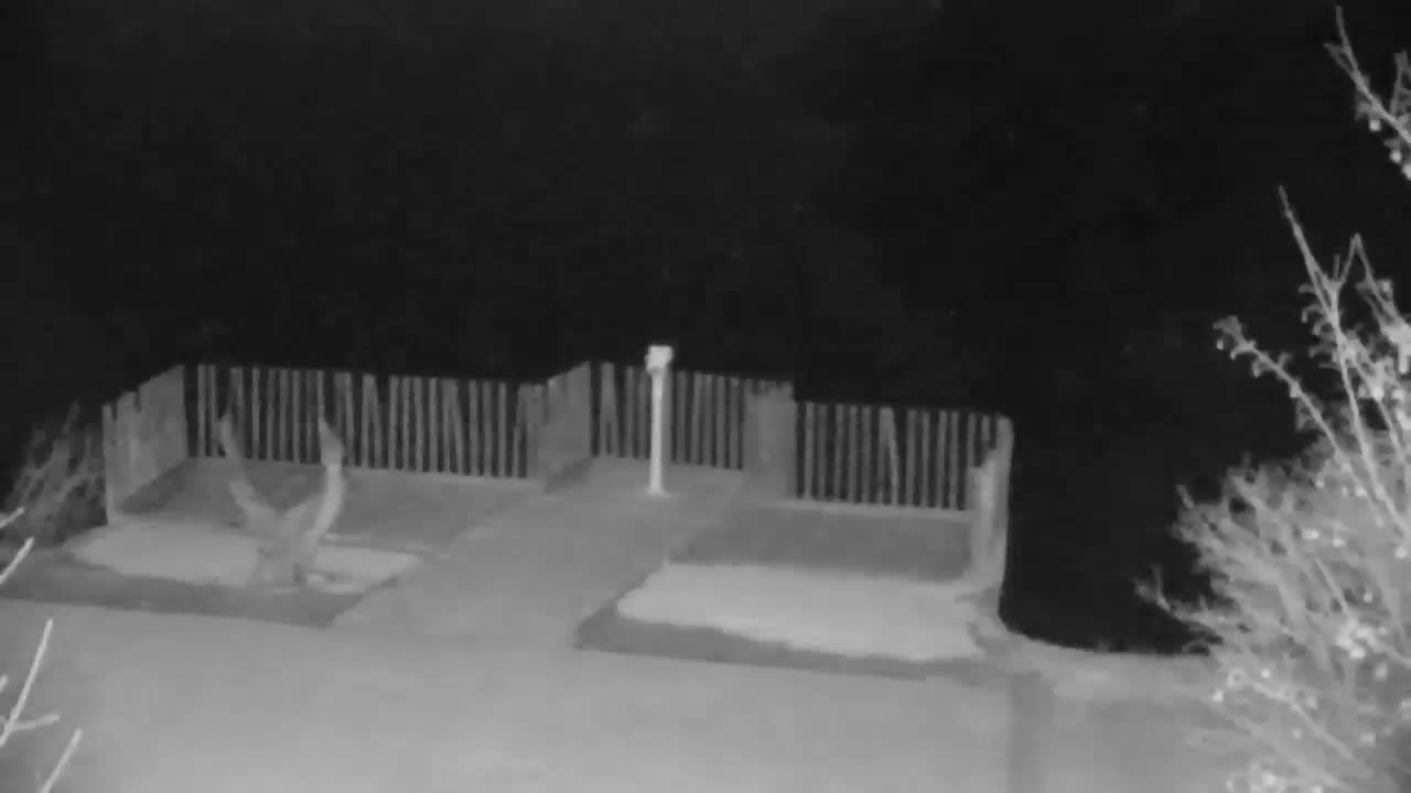 Webcam Ribnik Vrbje – Žalec