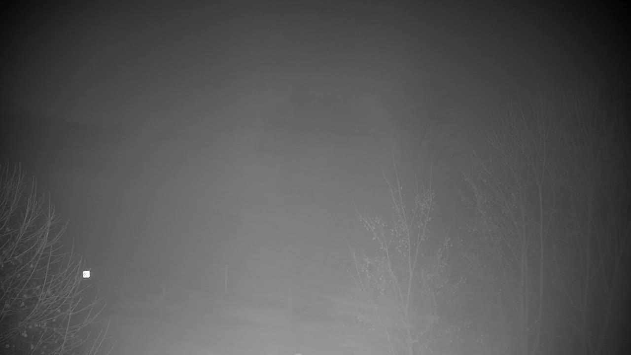 Webcam Ribnik Vrbje – Žalec