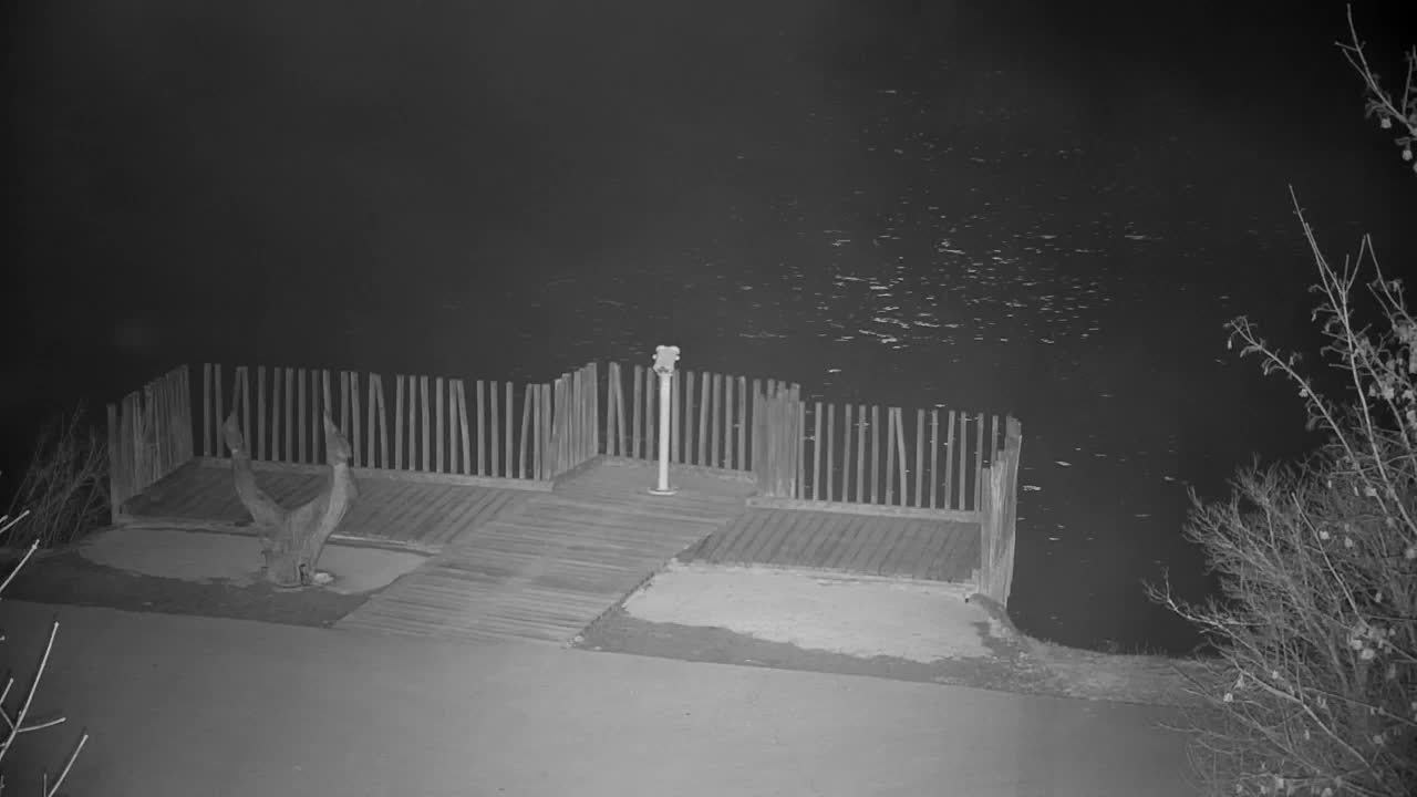 Webcam Ribnik Vrbje – Žalec