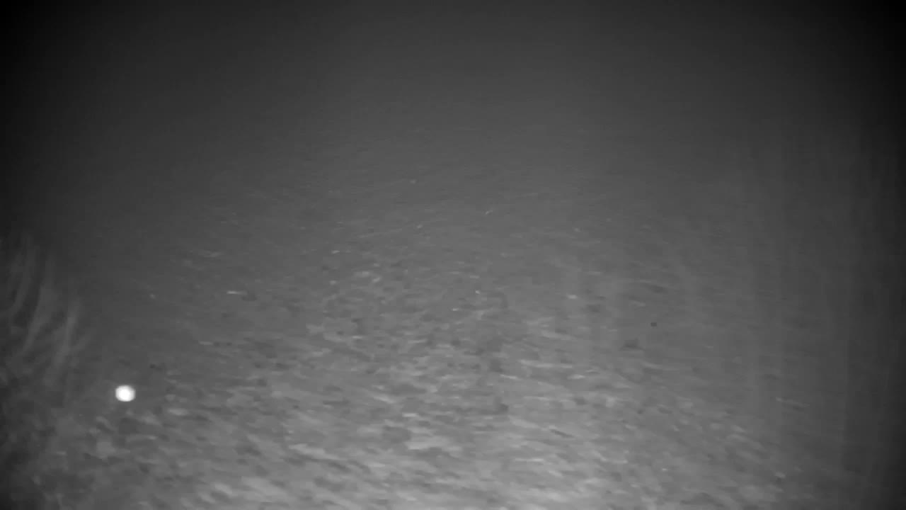 Webcam Ribnik Vrbje – Žalec