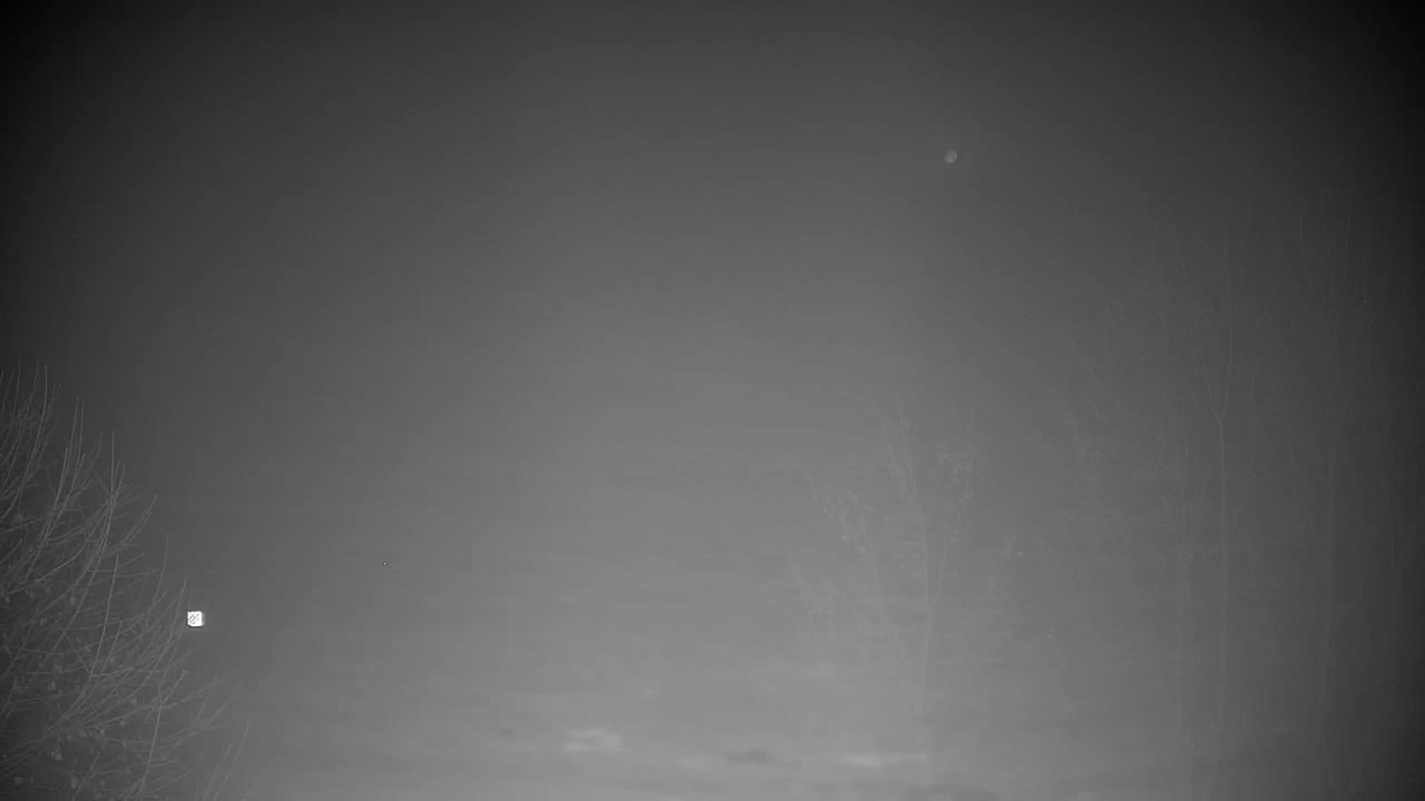 Webcam Ribnik Vrbje – Žalec