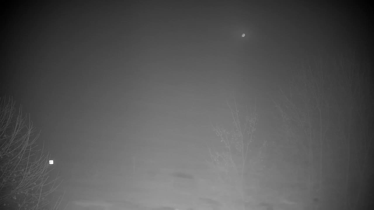 Webcam Ribnik Vrbje – Žalec